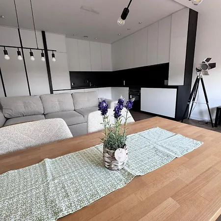 Modern In The Center Of 조리